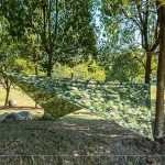 Abri Tarp Camouflage résistant et compact